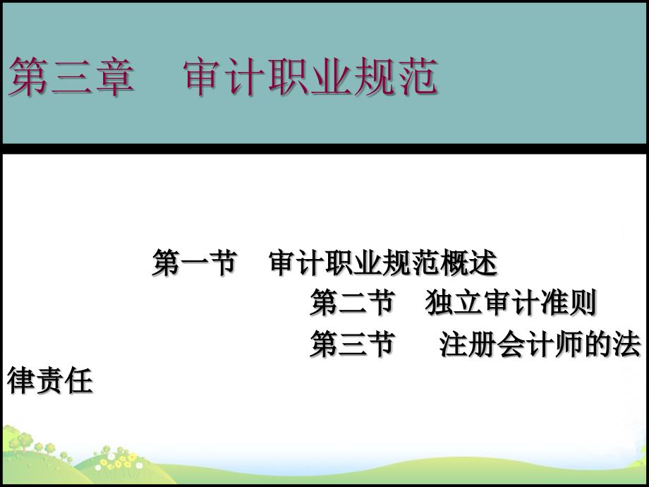 审计职业规范准则及相关法律责任(-31张)_第1页