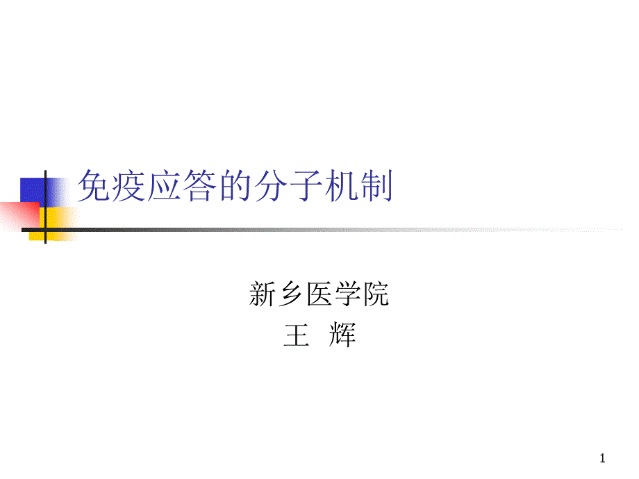 免疫应答的分子机制课件_第1页