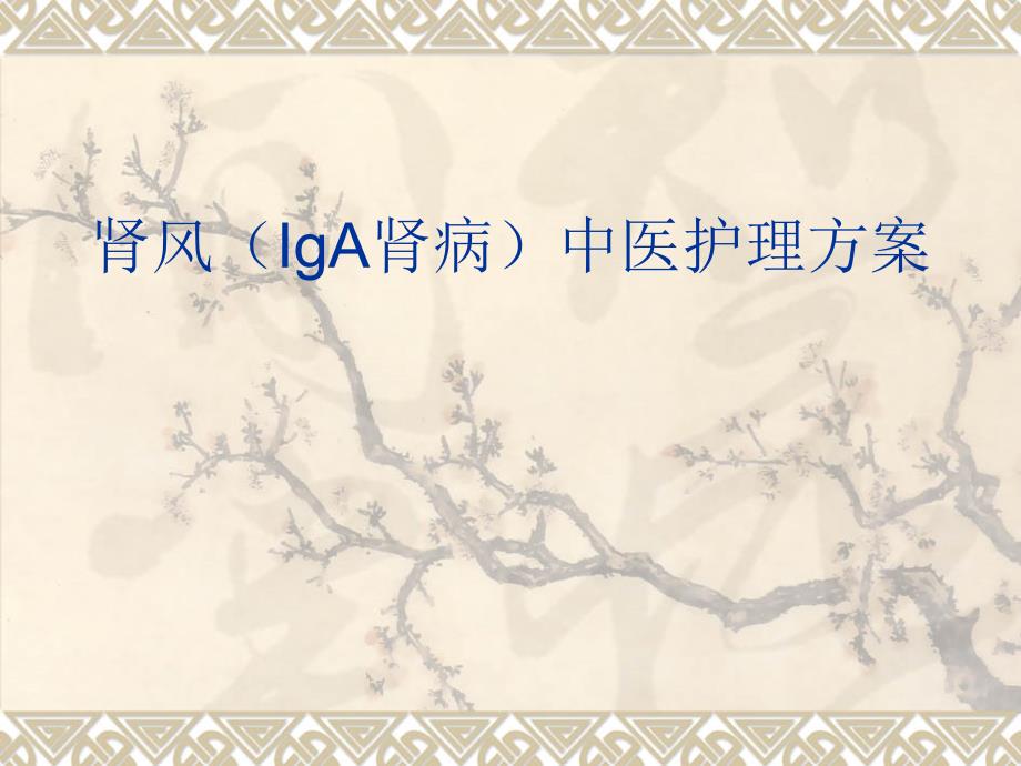 肾风(IgA肾病)中医护理方案课件_第1页