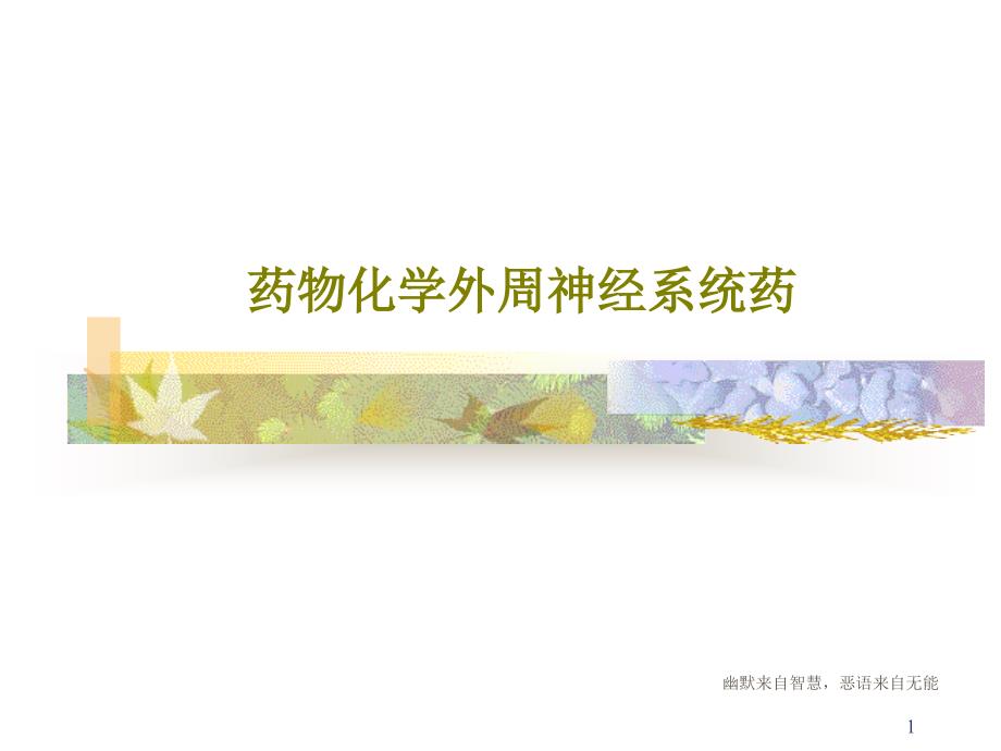 药物化学外周神经系统药课件_第1页