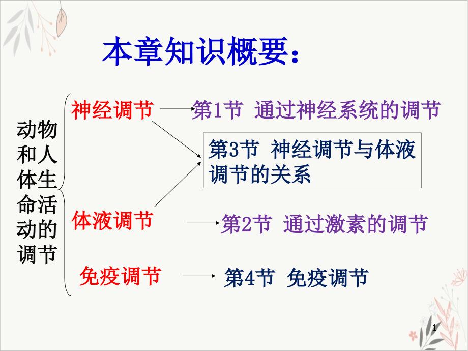 通过神经系统的调节很实用课件_第1页