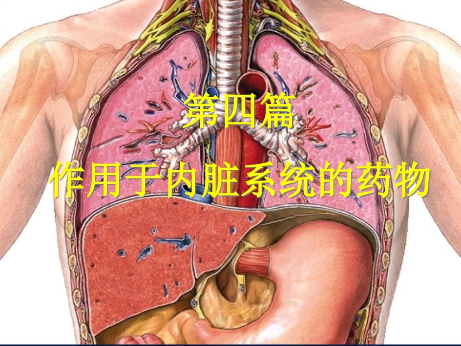 第26章-镇咳祛痰平喘药课件_第1页