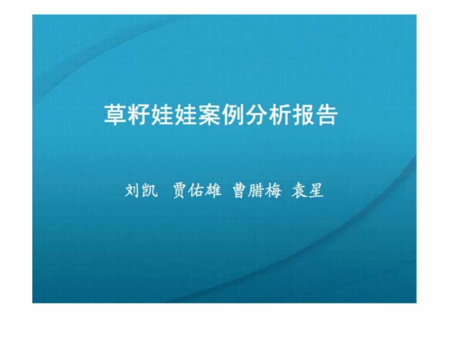 草籽娃娃案例分析报告_第1页