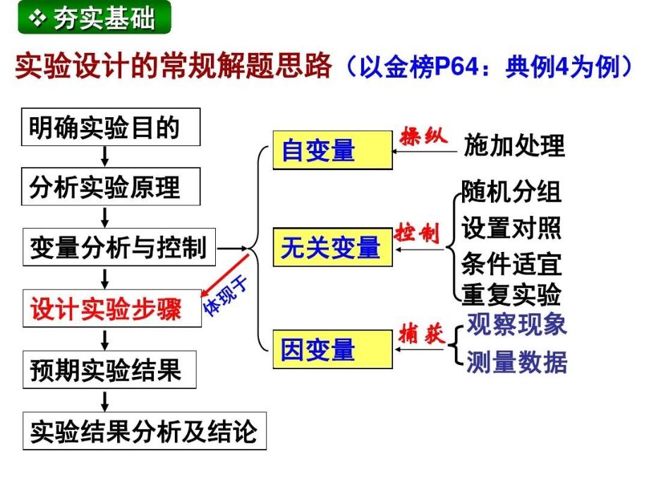 实验设计专题总结_第1页