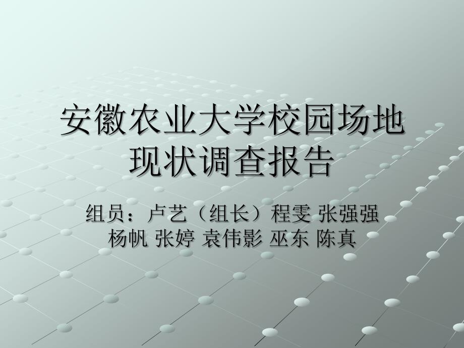 安徽农业大学校园场地_第1页