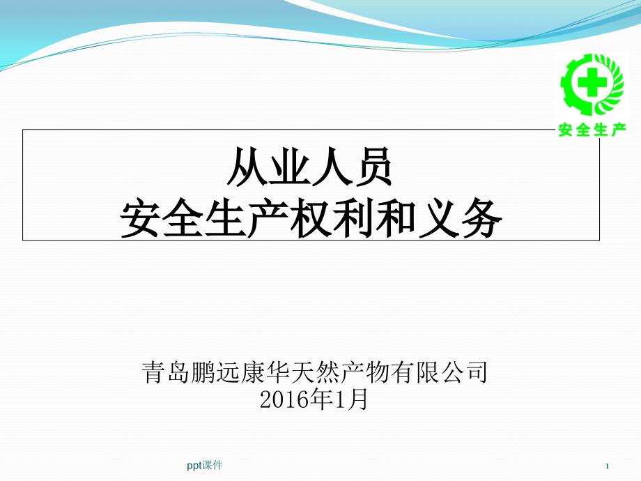 从业人员在安全生产方面的权利和义务--课件_第1页