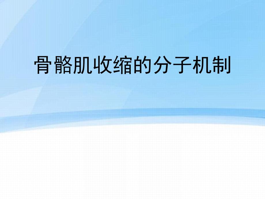 骨骼肌收缩的分子机制_第1页