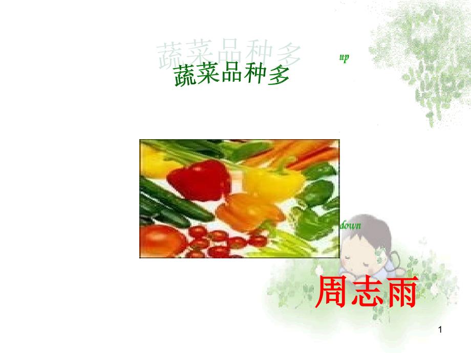 蔬菜品种多分析课件_第1页