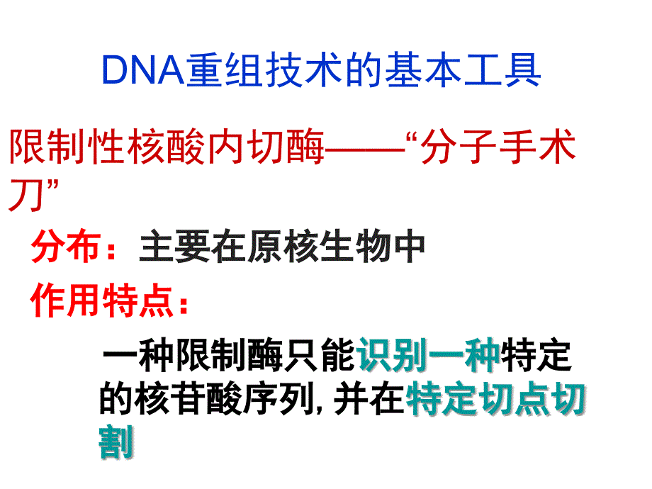 限制性核酸内切酶分子手术刀课件_第1页