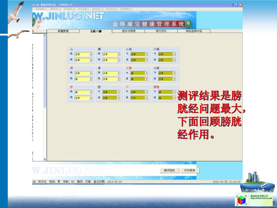 面瘫颅脑胶质瘤肺部占位肾脏错构瘤课件_第1页