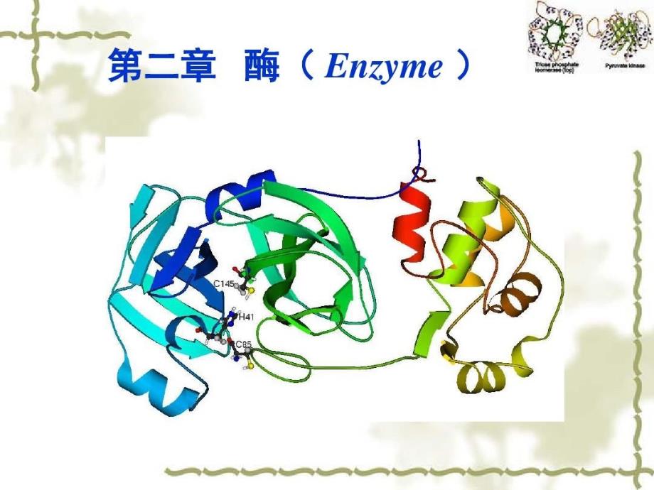 酶的功能及作用教学课件_第1页