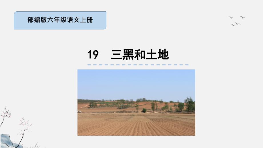 三黑和土地-部编版语文六年级上册-教学ppt课件_第1页