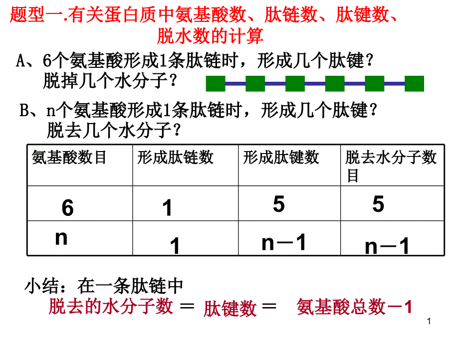 蛋白质计算题课件_第1页