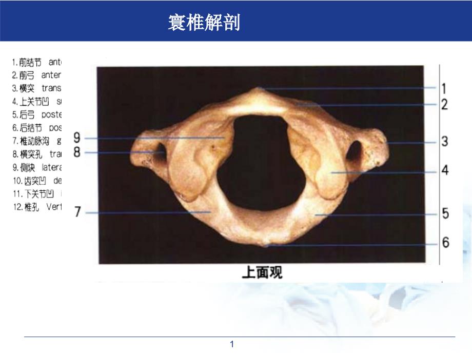 医学ppt课件寰枢关节半脱位_第1页