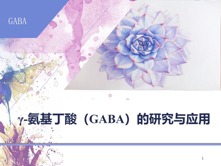 γ氨基丁酸GABA的研究与应用-课件_第1页