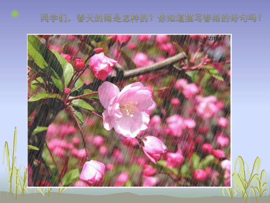 音乐ppt课件《小雨沙沙沙》(公开课附教案)_第1页