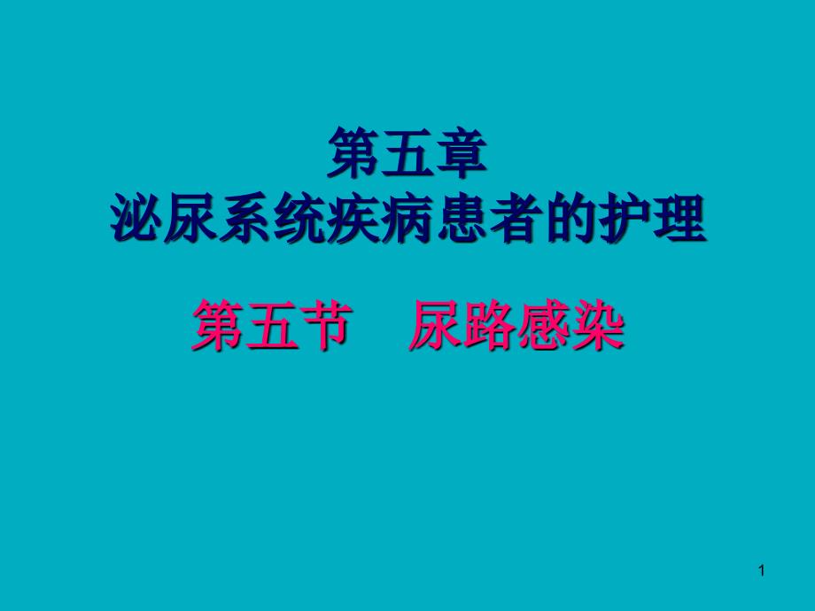 尿路感染病人的护理个案学习课件_第1页