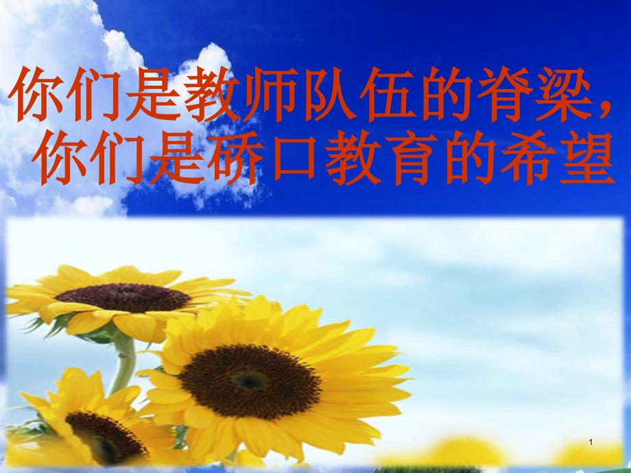 新教师应知应会专题培训ppt课件_第1页