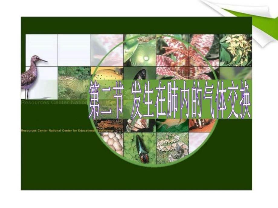 七年级下册生物发生在肺内的气体交换_第1页