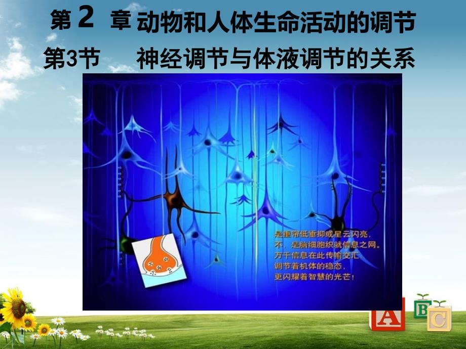 高中生物人教版必修3神经调节与体液调节的关系ppt课件_第1页