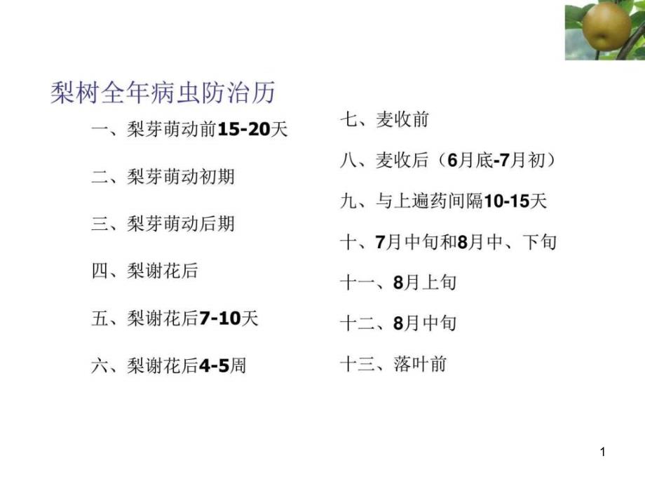 金秋梨全年病虫防治历课件_第1页