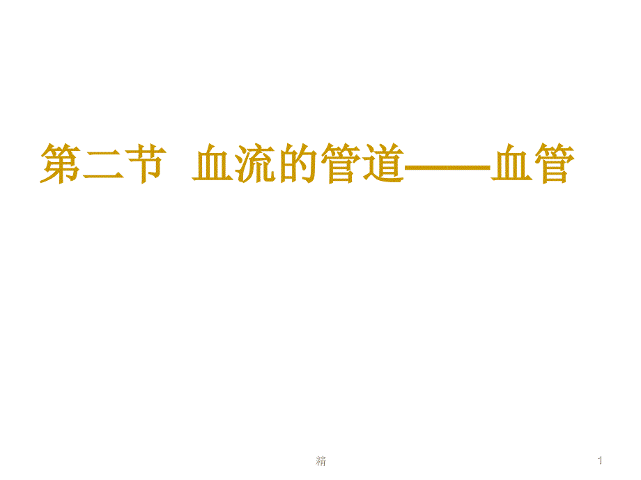 人教版生物七年级下册《血流的管道——血管》课件_第1页