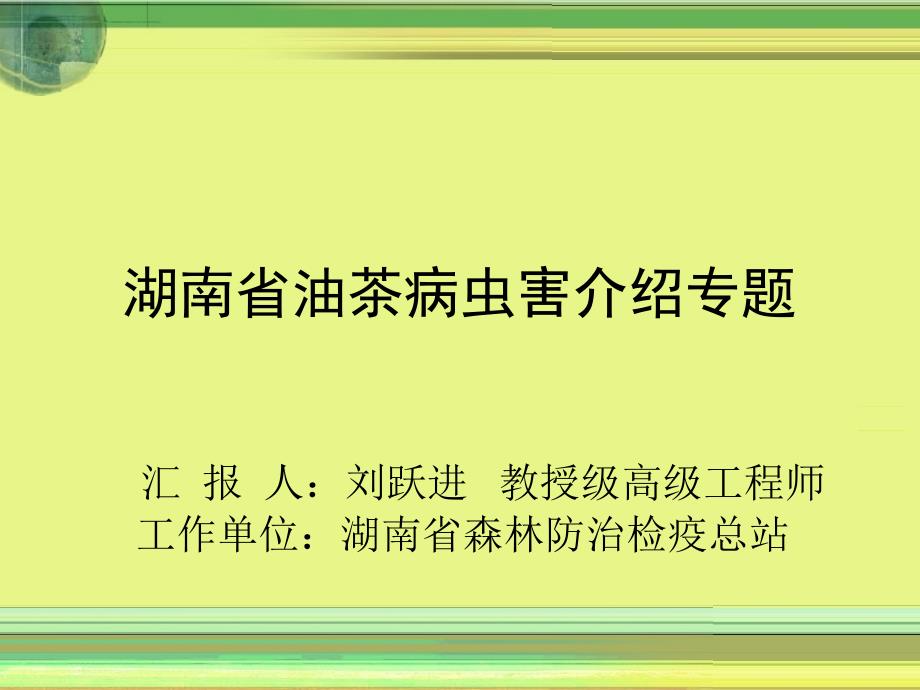 湖南省油茶病虫害介绍专题_第1页