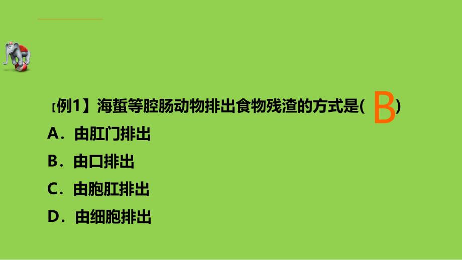 人教版八年级上册生物期末复习ppt课件_第1页