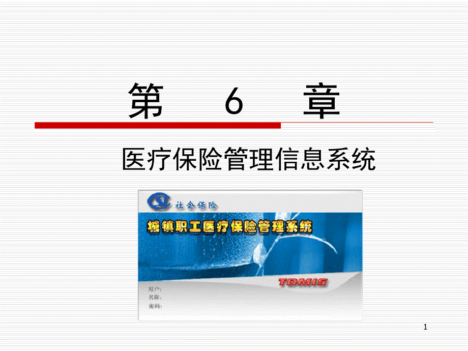 医疗保险管理信息系统ppt课件_第1页