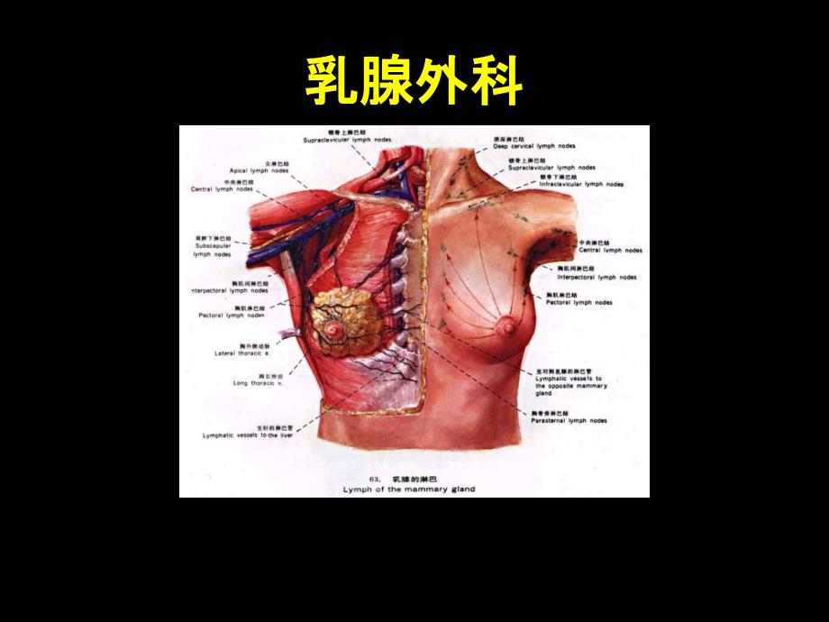 乳腺外科护理--课件_第1页