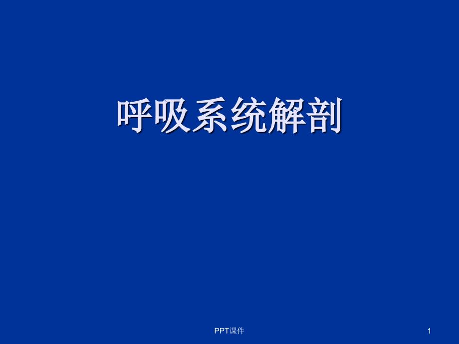 呼吸系统解剖--课件_第1页