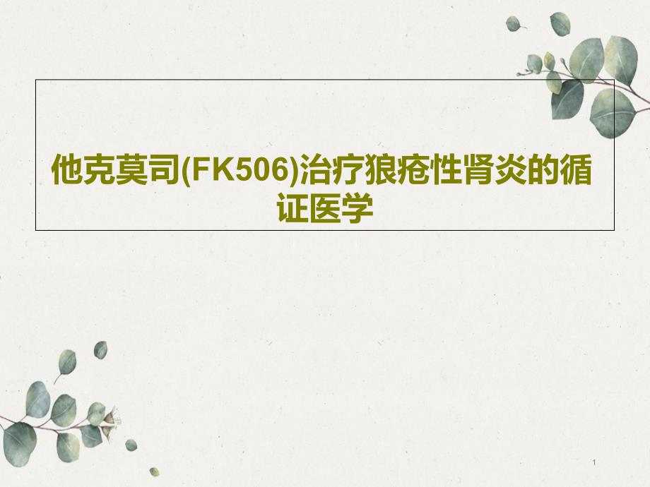 他克莫司（FK506）治疗狼疮性肾炎的循证医学课件_第1页