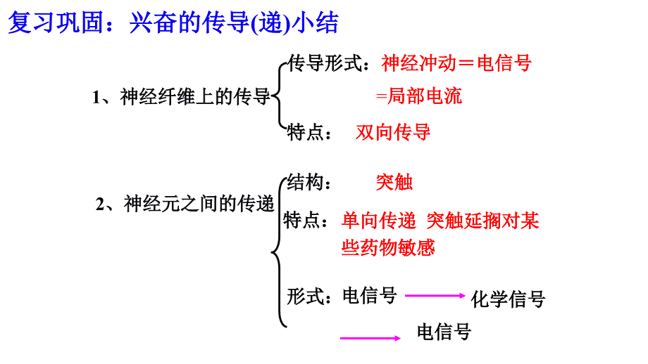 【人教版】神经系统的分级调节课件_第1页