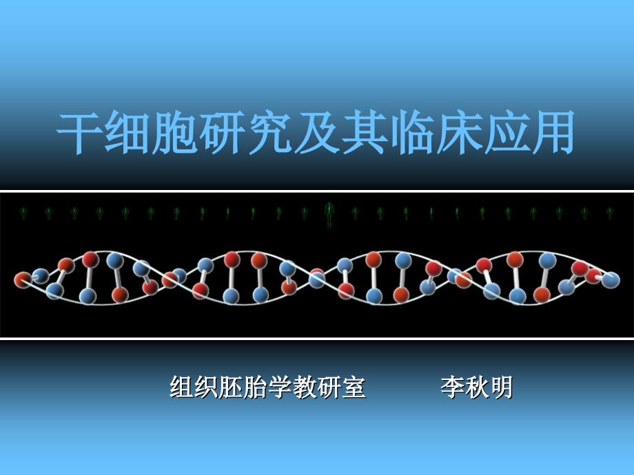 干细胞研究及其临床应用--课件_第1页