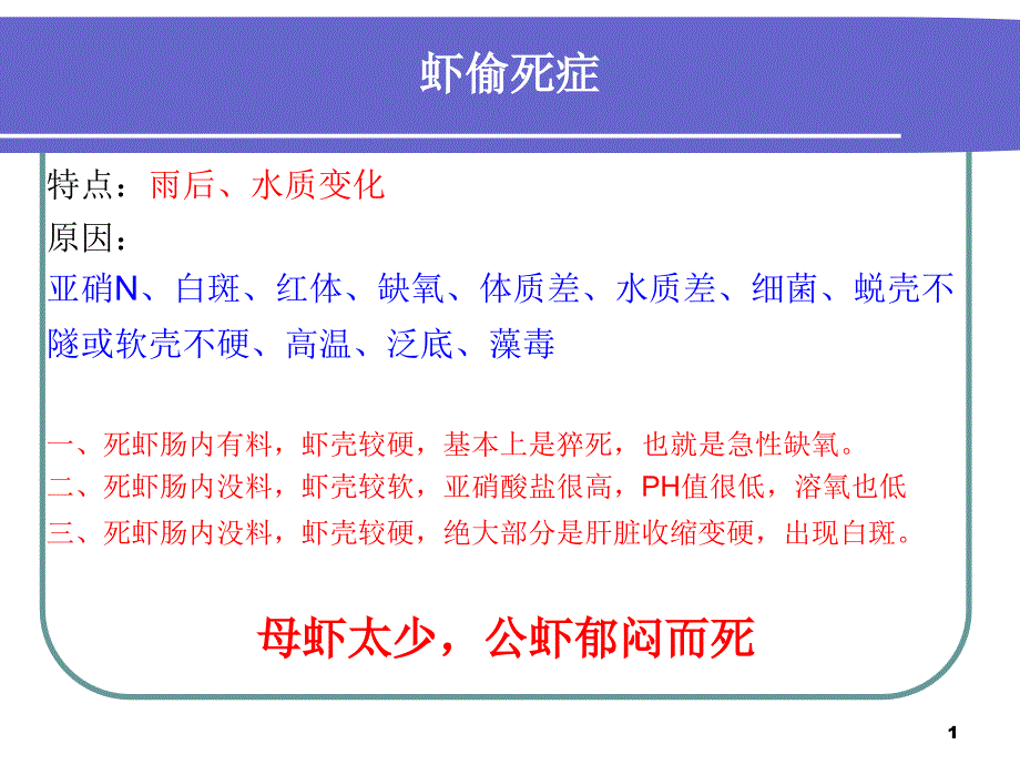 常见疾病的诊断与用药物误区课件_第1页