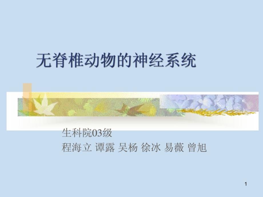 无脊椎植物神经系统课件_第1页