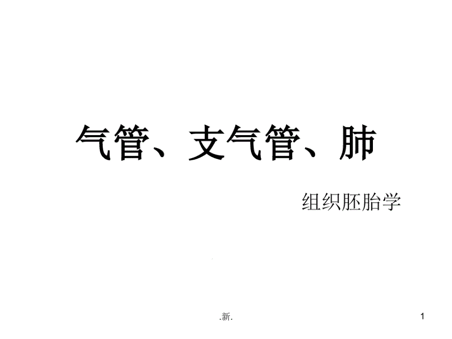 定稿气管支气管肺组织学课件_第1页