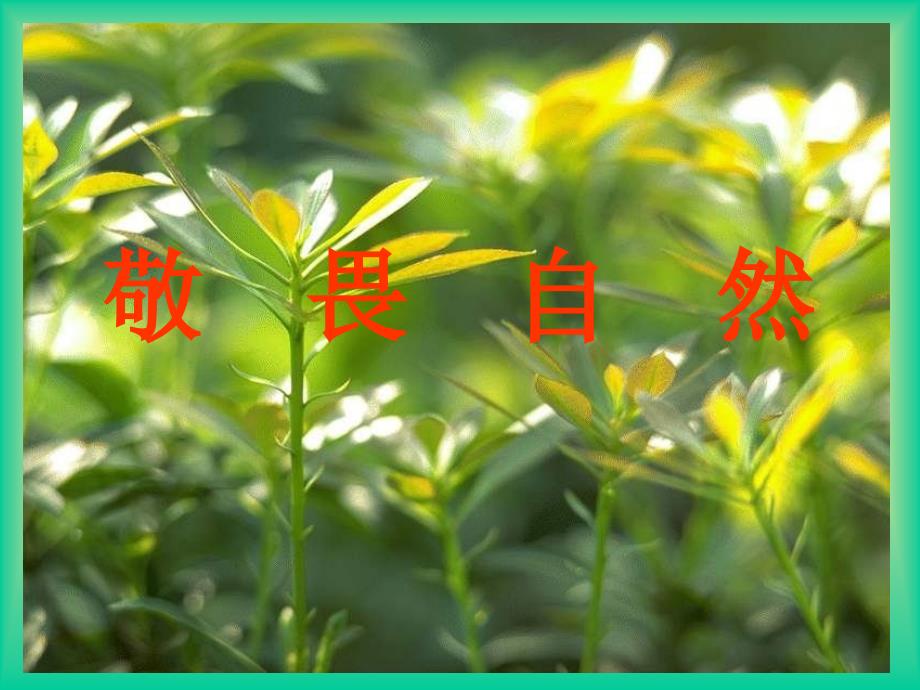 敬畏自然课件_第1页