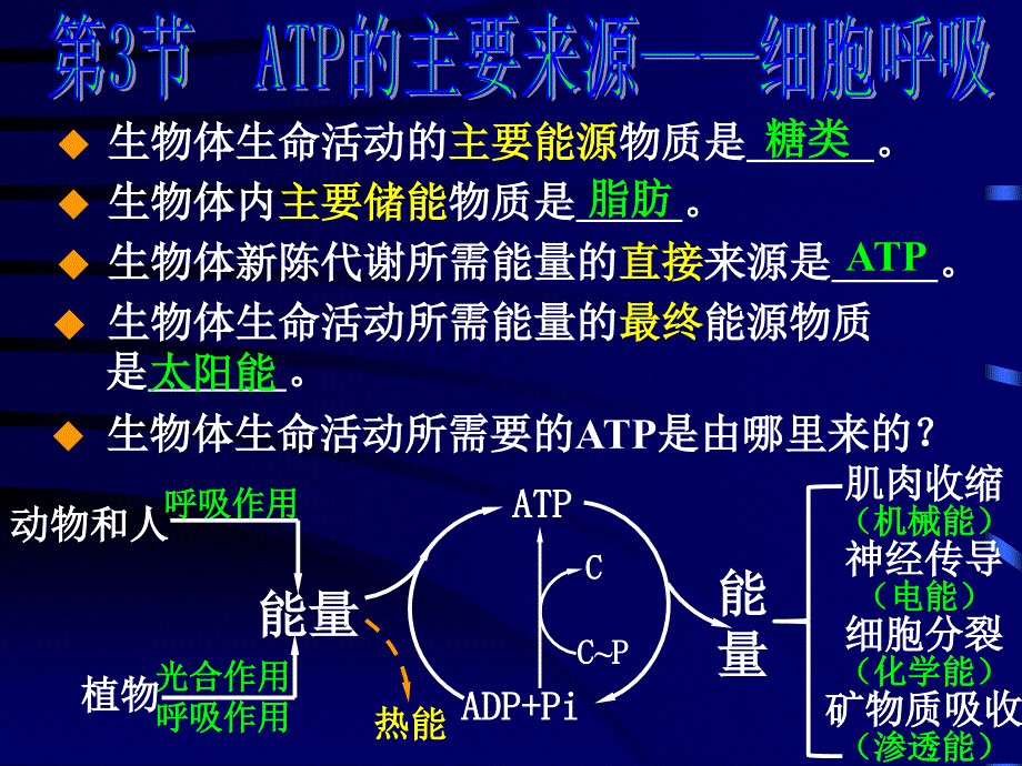 第3节--ATP的主要来源_细胞呼吸---文本资料课件_第1页