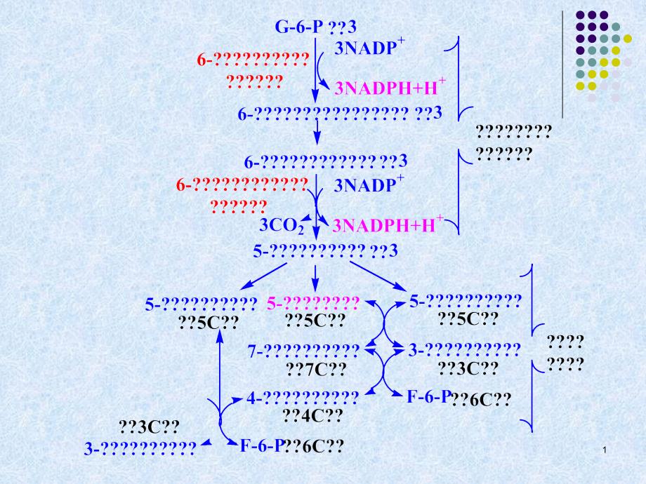 第3章第四节糖原的分解和生物合成总资料课件_第1页