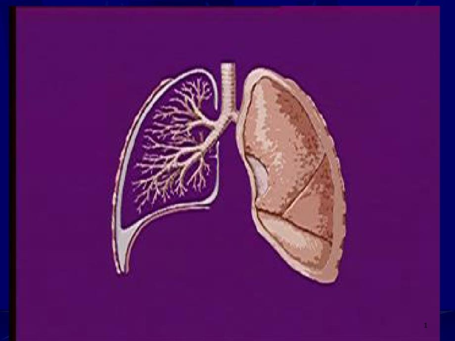 第一章肺系第一节感冒课件_第1页