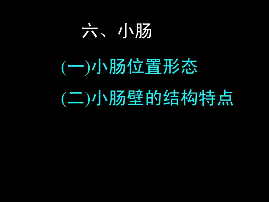 消化系统小肠大肠课件_第1页