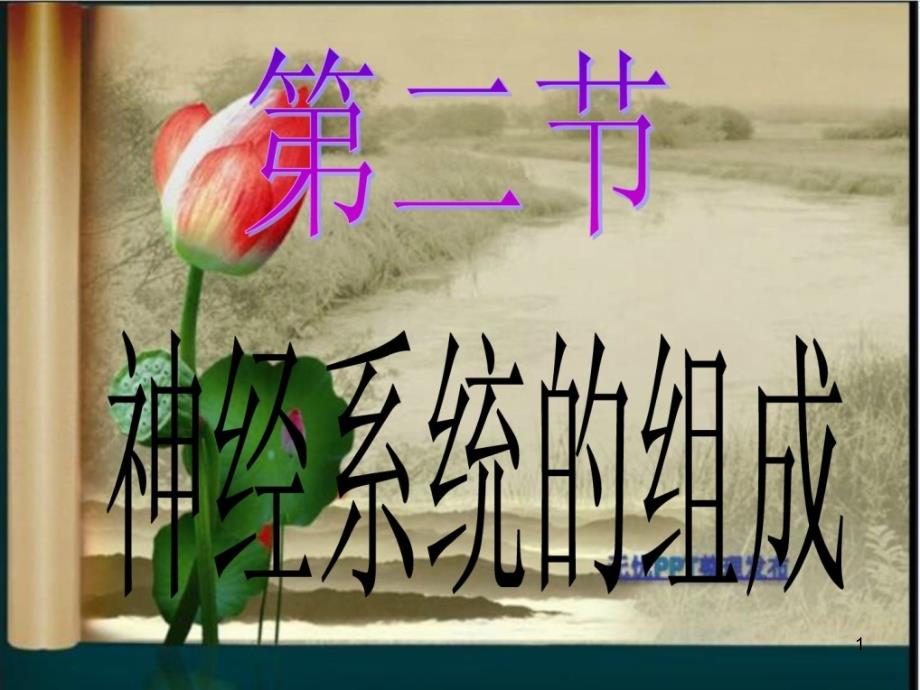 【初中小学必备资料】第二节神经系统组成课件_第1页