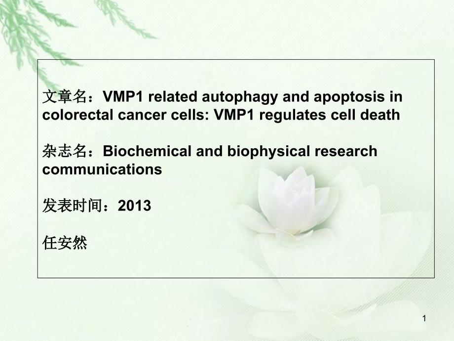 VMP1regulatescelldeathVMP1（膜泡蛋白1）与结肠直肠癌细胞的ppt课件_第1页