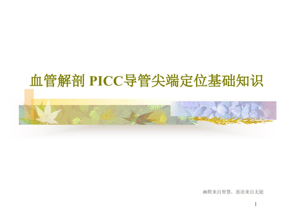 血管解剖PICC导管尖端定位基础知识课件_第1页