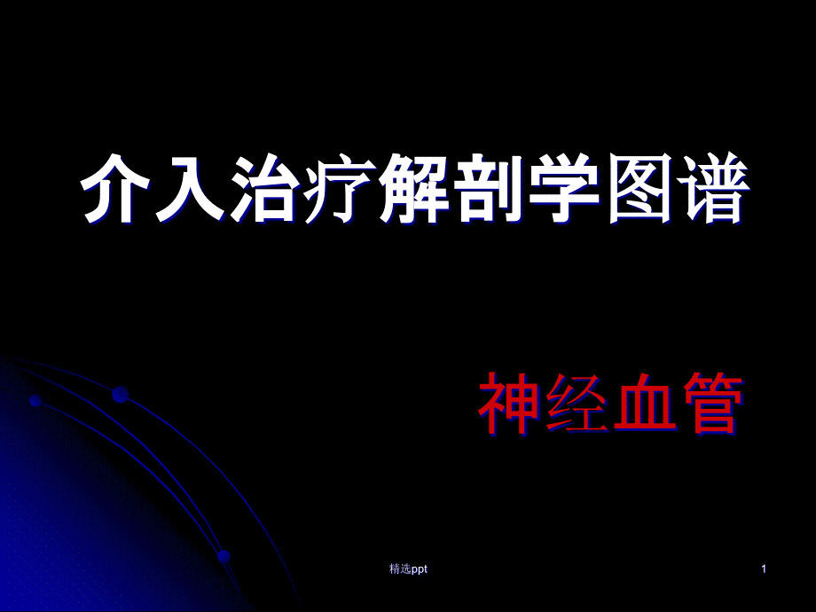 神经血管解剖图 ppt课件_第1页