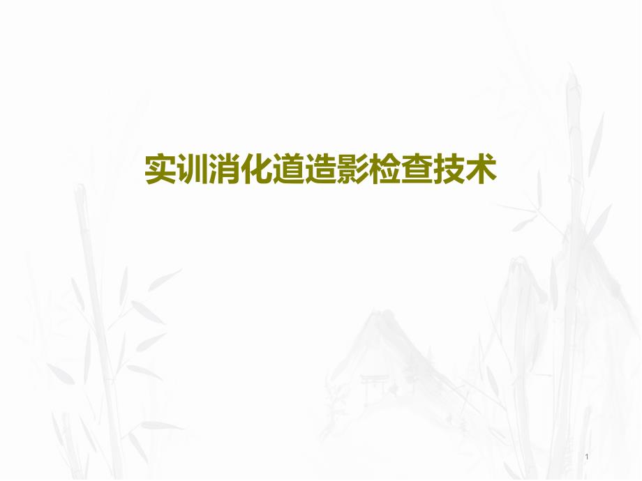 实训消化道造影检查技术课件_第1页