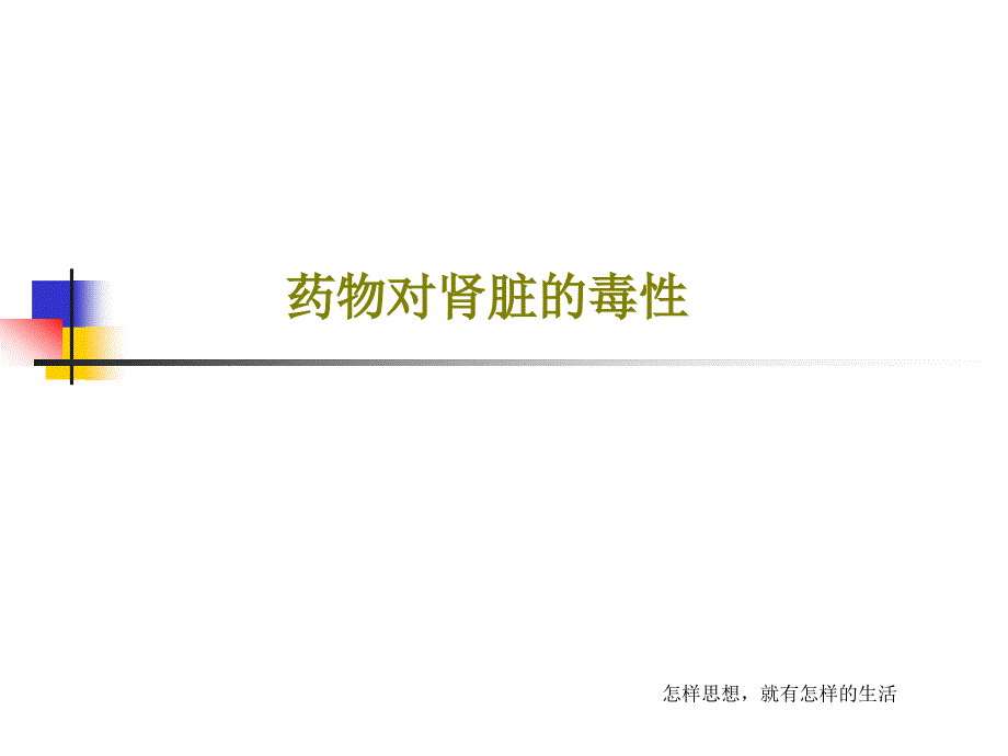 药物对肾脏的毒性课件_第1页