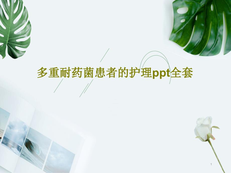 多重耐药菌患者的护理ppt全套课件_第1页