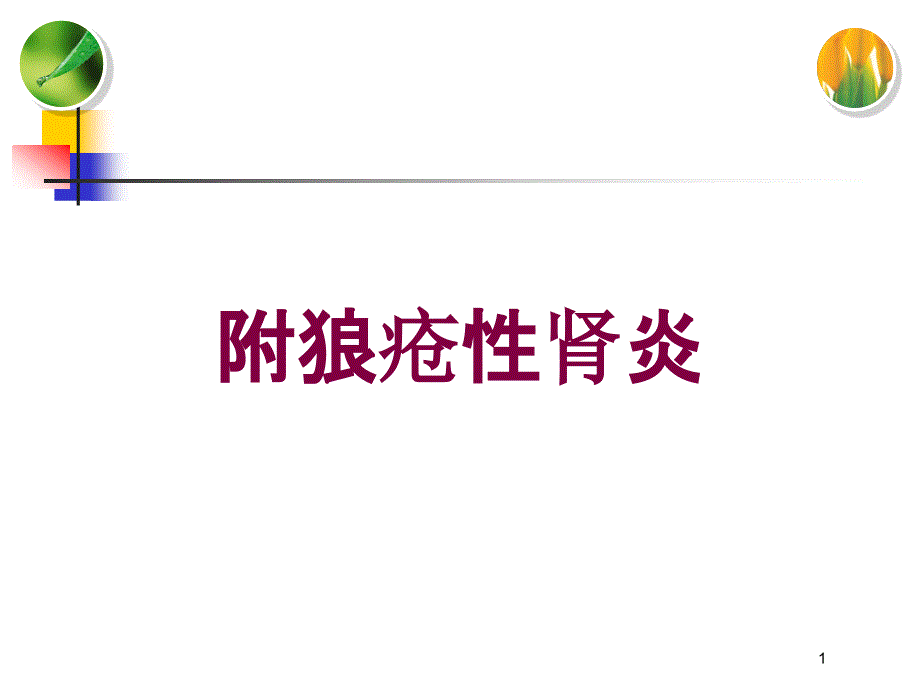 附狼疮性肾炎培训ppt课件_第1页